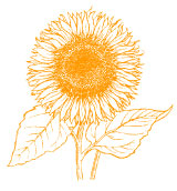 SunflowerFree